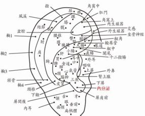 耳朵裡有痣|面相：耳朵有痣算命圖解，全位置對照，看看你是哪一。